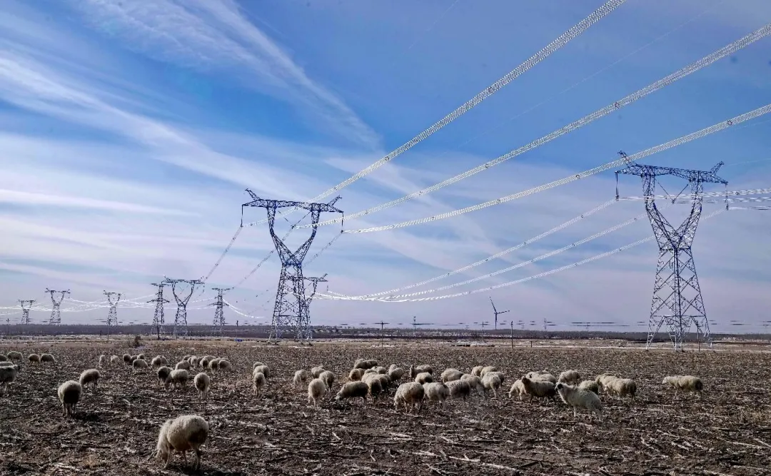Do power transmission and transformation facilities have a great impact on the electromagnetic environment?